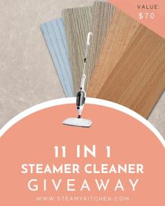 11 In 1 Steamer Cleaner Giveaway