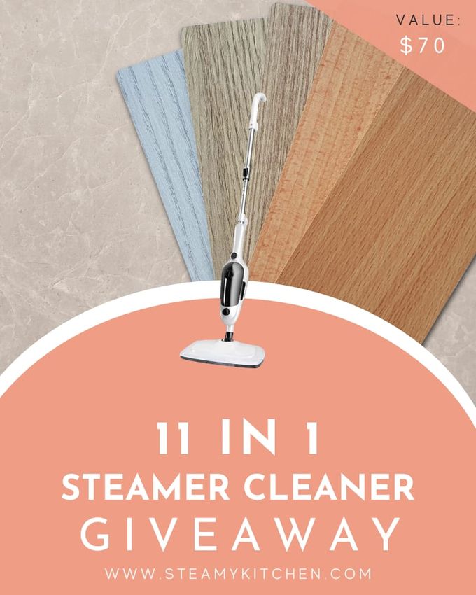 11 In 1 Steamer Cleaner Giveaway