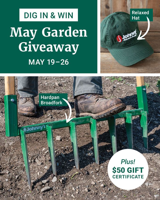 Dig In Win May Garden Giveaway