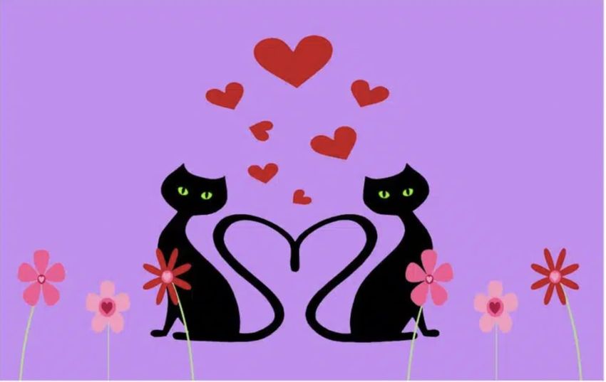 Win A Valentines Prize Pack For Cats