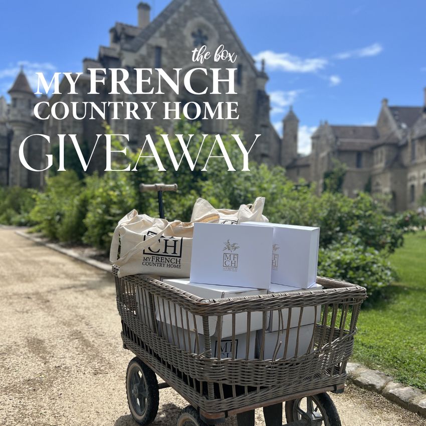 Bon Voyage Giveaway