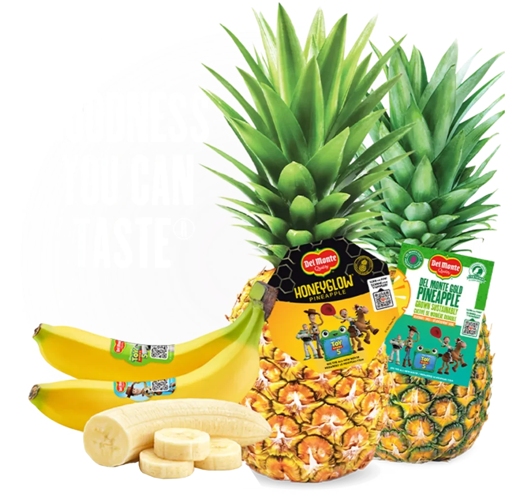 Fresh Delmonte Sweepstakes