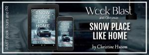 Ebook Copy Snow Place Like Home