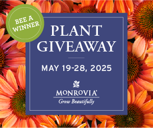 Monrovia–Pollinator Plant Giveaway