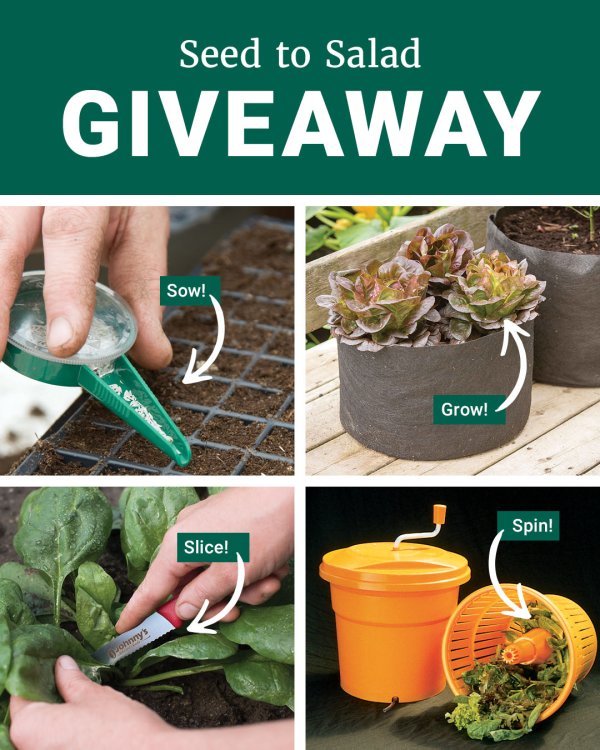 Precision Pursuit Giveaway