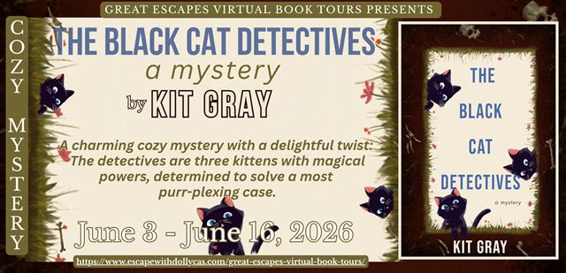 The Black Cat Detectives A Mystery By Kit Gray