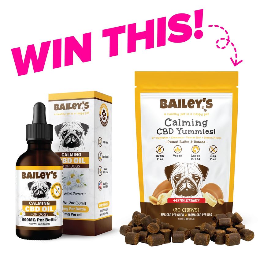 Win 1 Of 2 Prize Packs From Baileys Cbd For Dogs