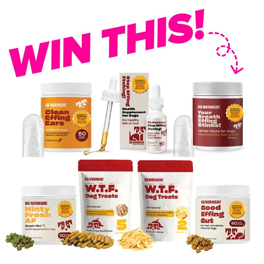 Win 1 Of 3 Oh Norman Prize Packages