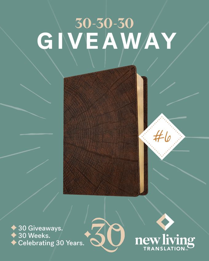 30 30 30 Bible Giveaway 6