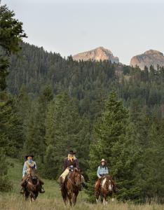 Unicorn Trails Yellowstone Ranch Sweepstakes