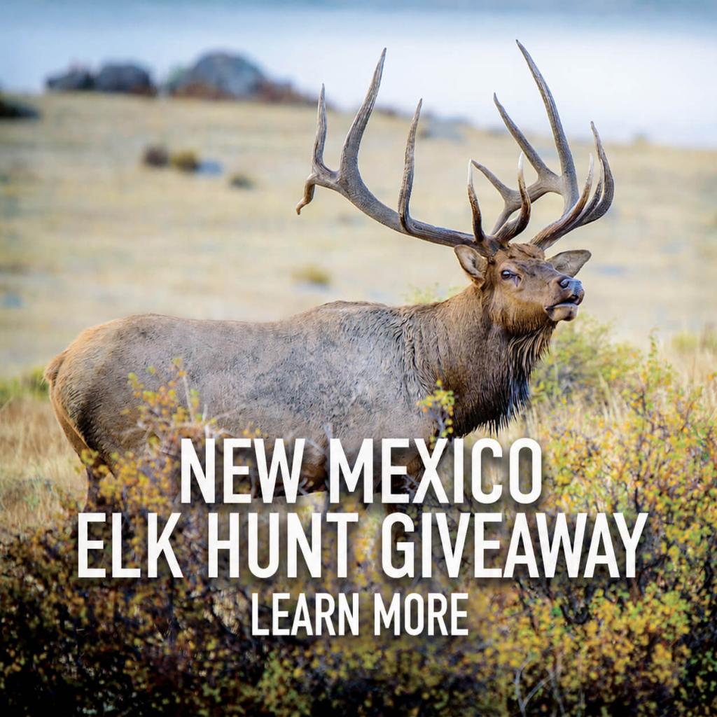Worldwide Trophy Adventures Elk Hunt Giveaway