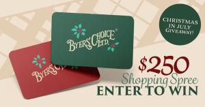 Christmas In July Giveaway