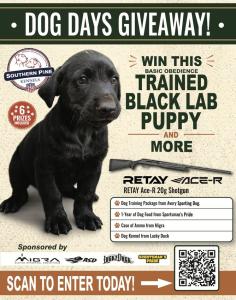 Dogs Days Of Summer Giveaway