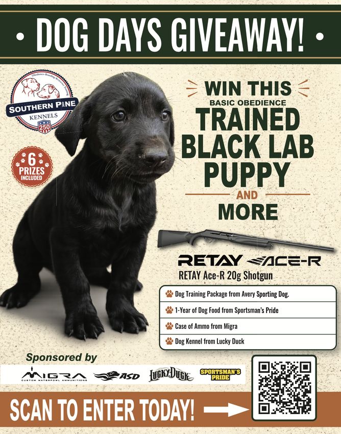 Dogs Days Of Summer Giveaway