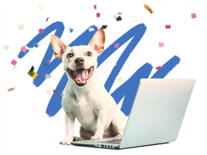 DogTV–Justfoodfordogs Prize Pack Giveaway