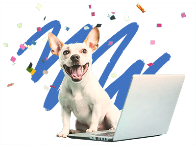 DogTV–Justfoodfordogs Prize Pack Giveaway