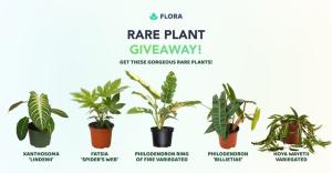 Flora July Rare Plant Giveaway 1500 Worth Of Treasure For 20 Winners