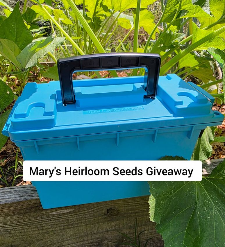 July 2026 Seed Giveaway At Marys Heirloom Seeds