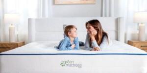 My Green Mattress Organic Mattress