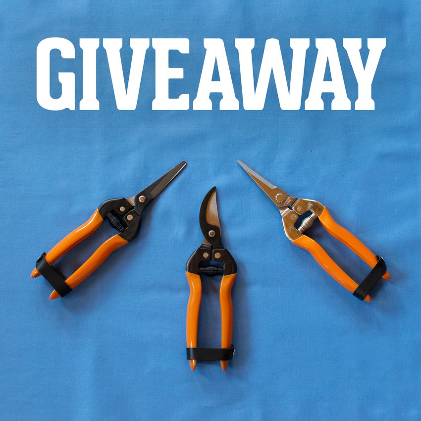 Our Harvesting Scissors Giveaway