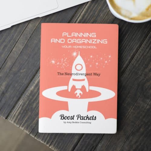 Planning Organizing And Documenting Your Homeschool The Neurodivergent Way Boost Packet
