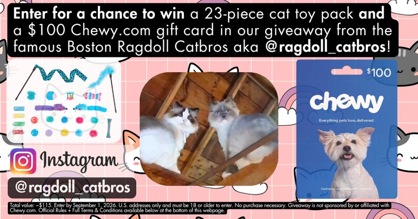 Ragdoll Catbros Cat Toy Pack 100 Chewycom Gift Card Summer 2026 Giveaway