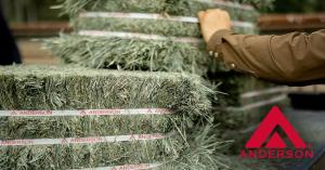 The Great Hay Giveaweay