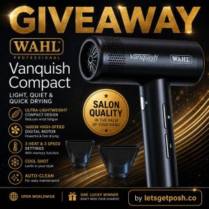 Wahl Professional Vanquish Compact Hair Dryer Giveaway