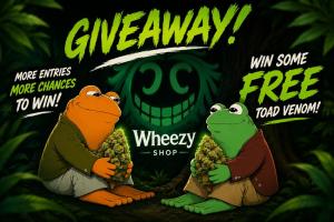 Wheezyshops Grand Opening Giveaway