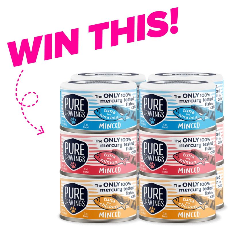 Win 1 Of 2 Prizes Four 12 Packs Of Pure Cravings Minced Tuna For Cats