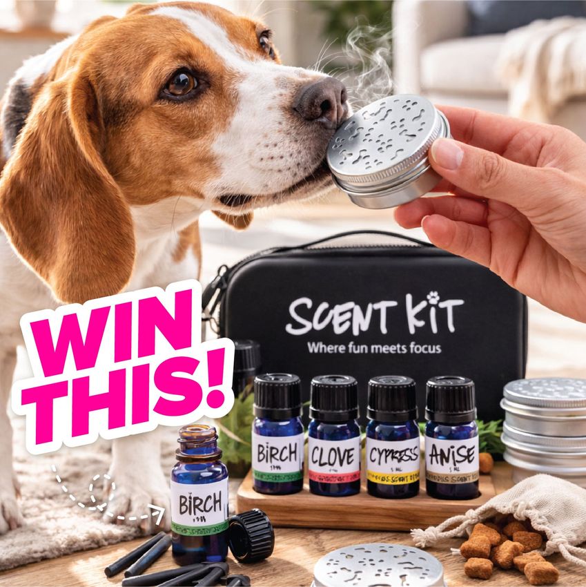 Win 1 Of 3 Prizes From Pup Oils