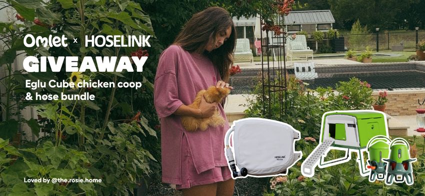 Win A 2 275 Omlet X Hoselink Prize Pack