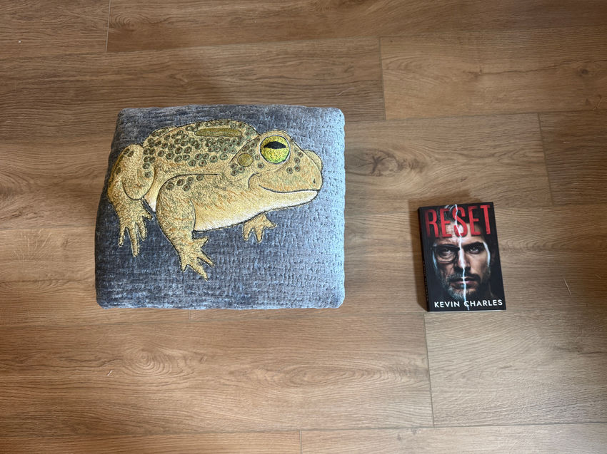 Reset Novel Giveaway: Artisan Toad Stool and Signed Book Copy