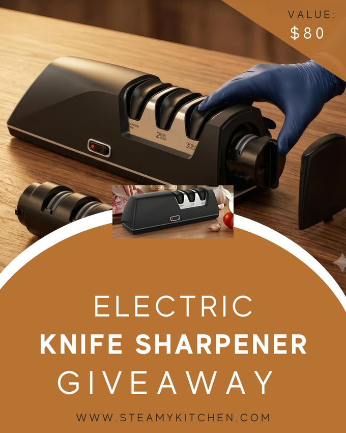 Electric Kitchen Knife Sharpener Giveaway!