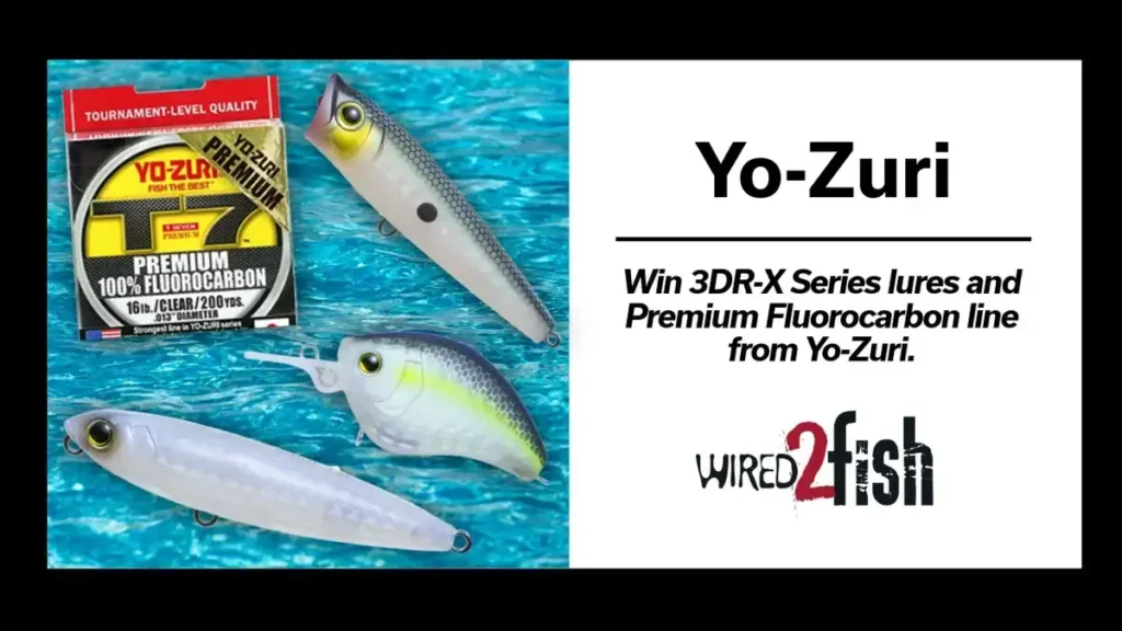 Win Yo-Zuri’s 3DR-X Series Lures and Fluorocarbon Line!