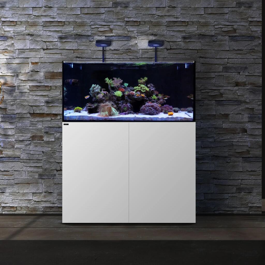 Win a MARINE X110.4 PLUS Edition