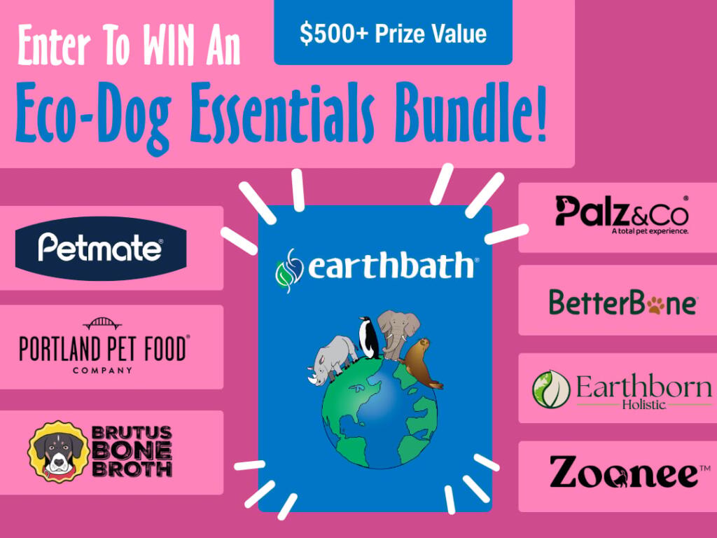 Enter to WIN an The Eco-Dog Essentials Bundle!