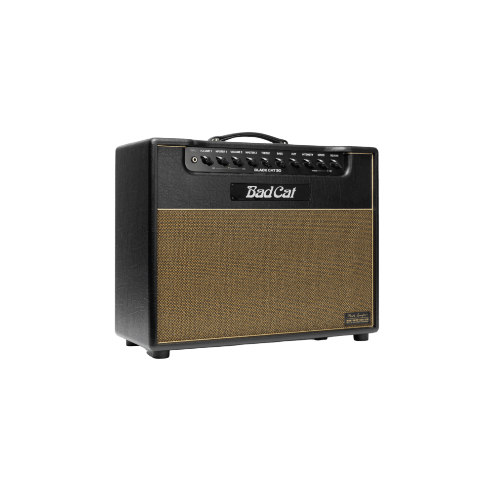 Palen Music Blue Friday Combo Amp Giveaway