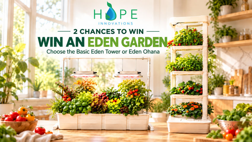 Win the Eden Garden of Your Choice