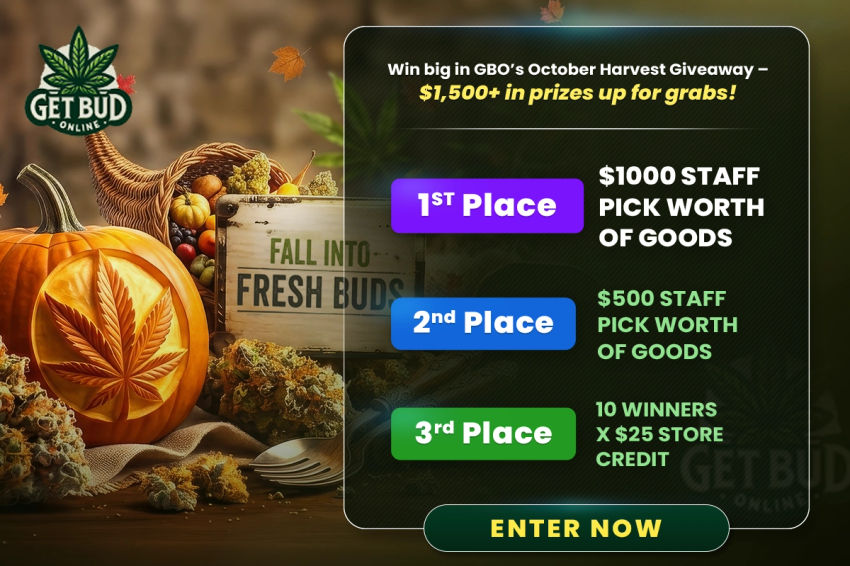 🎃🌿 GBO VIP’s Hallow-Weed Giveaway – Blaze Into October & Win Big!