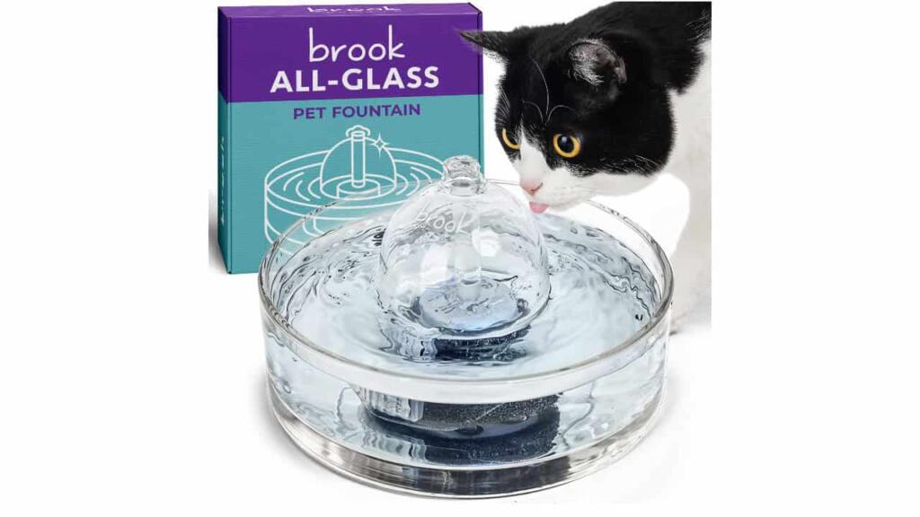Floppycats–October Glass Cat Fountain Giveaway