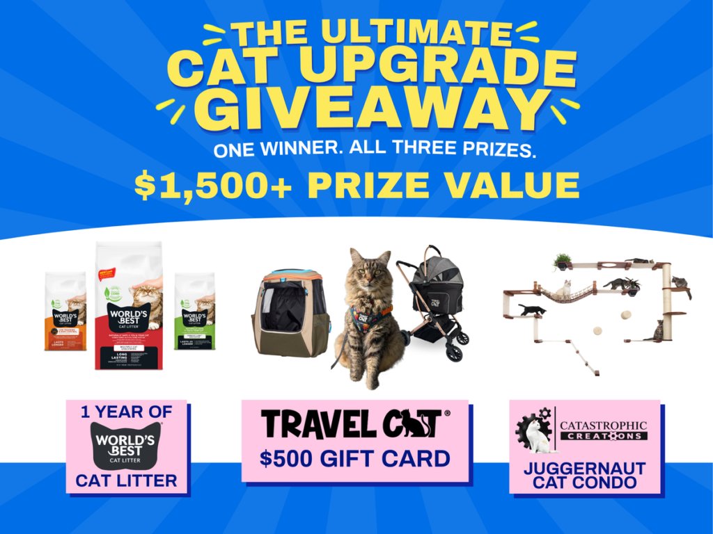 The Ultimate Cat Upgrade Giveaway