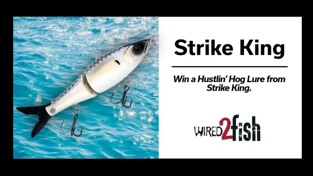 Win a Hustlin’ Hog Lure from Strike King!