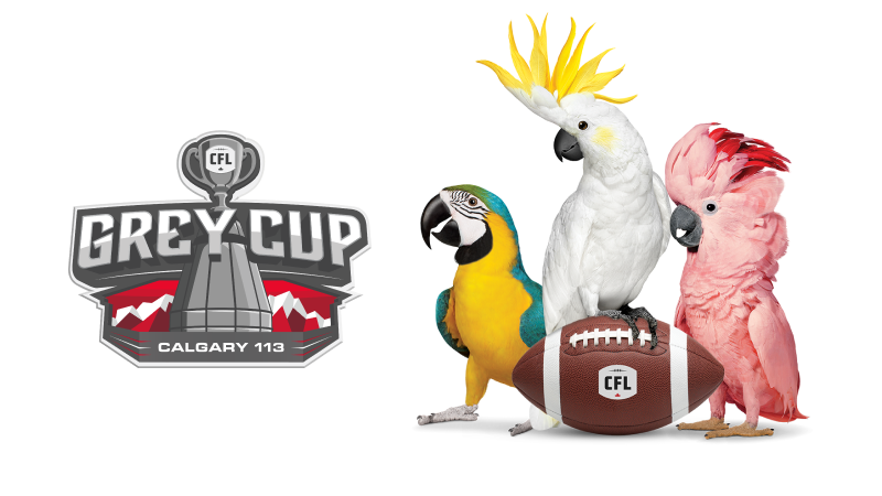 TELUS 113th Grey Cup Experience Contest